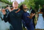 VIDEO: Diamond Platnumz Ft Wouter Kellerman - Pounds & Dollars Mp4 Download