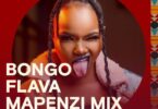 Download Bongo Flava Mapenzi Mix Inayomshirikisha Rosa Ree Ndani ya Mdundo