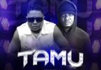 AUDIO: Christian Bella Ft Fid Q - TAMU Mp3 Download