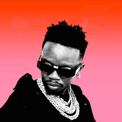AUDIO: Marioo Ft Tnc - Zinaletwa Mp3 Download