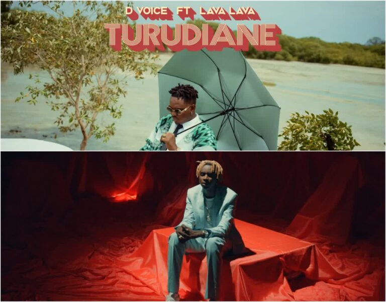 VIDEO: D Voice Ft Lava Lava - Turudiane Mp4 Download