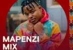 Pakua Mapenzi Mix Ft Whozu Ndani Ya Mdundo