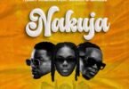 AUDIO: Tommy Flavour Ft Marioo & Bayanni - Nakuja Mp3 Download