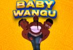 AUDIO: Mzee Wa Bwax Ft Meja Kunta - Baby Wangu Mp3 Download