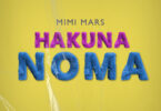 AUDIO | Mimi Mars – Hakuna Noma | Download Mp3
