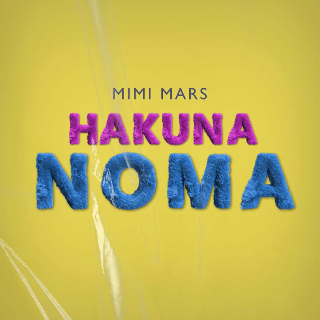 AUDIO | Mimi Mars – Hakuna Noma | Download Mp3
