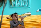 AUDIO | Lava Lava – Maji | Download Mp3