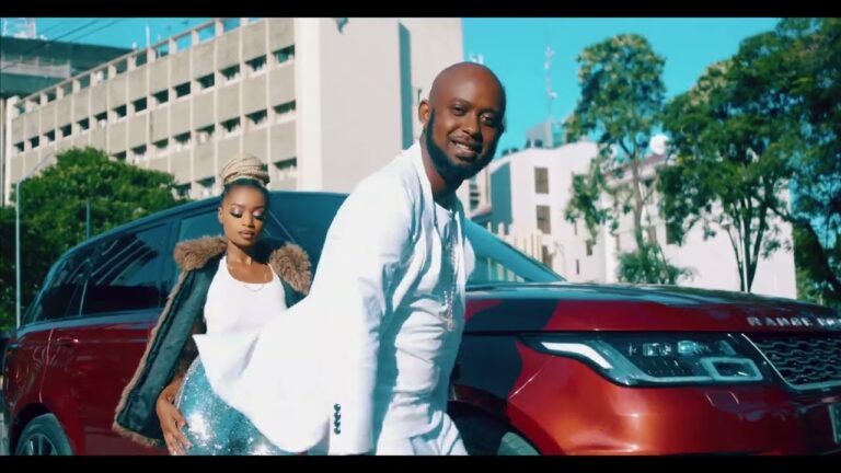 VIDEO | Mr Blue – Jina Hili Download Mp4