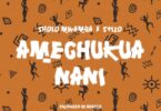 AUDIO | Sholo Mwamba X Stizo - AMECHUKUA NANI | Download Mp3