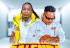 AUDIO | Best Naso Ft Nay Wa Mitego - Salenda | Download Mp3