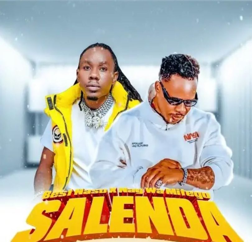 AUDIO | Best Naso Ft Nay Wa Mitego - Salenda | Download Mp3