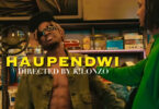 AUDIO | Ndaro Ft G boy - Haupendwi | Download Mp3