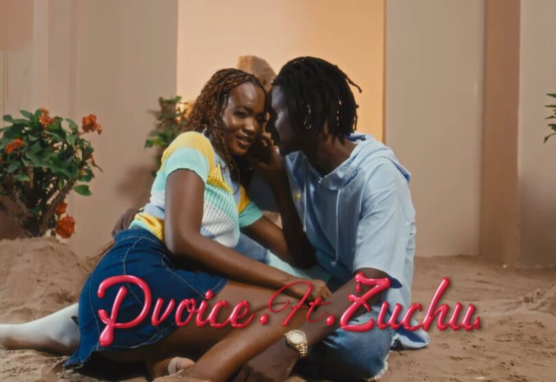 VIDEO | D Voice Ft Zuchu – Nani Download Mp4