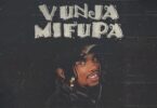 AUDIO | Dogo Janja – Vunja Mifupa | Download Mp3