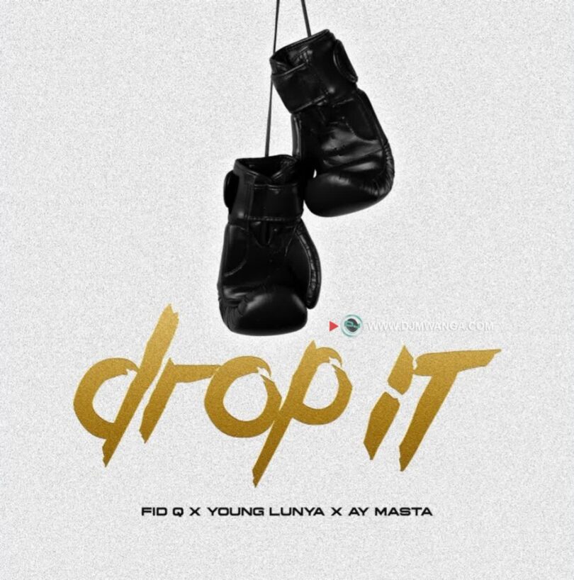 AUDIO | Ay Masta Ft Fid Q & YOUNG LUNYA – DROP IT | Download Mp3