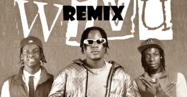 AUDIO | Dj Mushizo & Ibraah Ft Jay Combat Ft Baddest 47 – WIVU Remix | Download Mp3