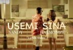 VIDEO | Nandy Ft Harmonize - Usemi Sina Download Mp4