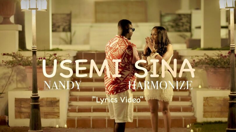 VIDEO | Nandy Ft Harmonize - Usemi Sina Download Mp4