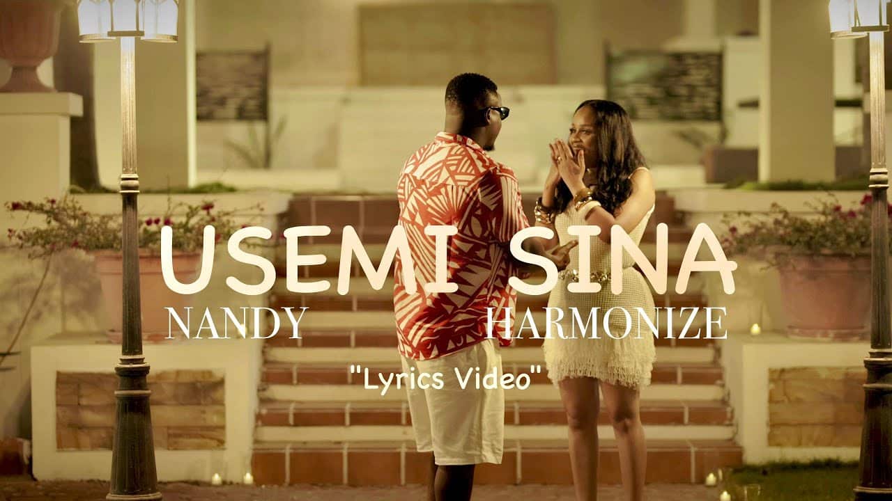 VIDEO | Nandy Ft Harmonize - Usemi Sina Download Mp4