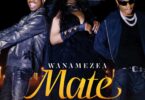 AUDIO | Luludiva Ft Mabantu – Wanamezea Mate | Download Mp3