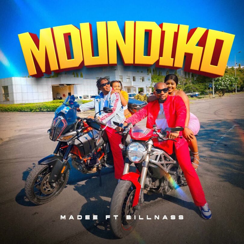 Madee Ft Billnass - Mdundiko