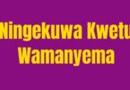 AUDIO | Wamanyema - Ningekuwa Kwetu | Download Mp3