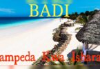 AUDIO: Badi Star - Nampenda Kwa Ishara Mp3 Download