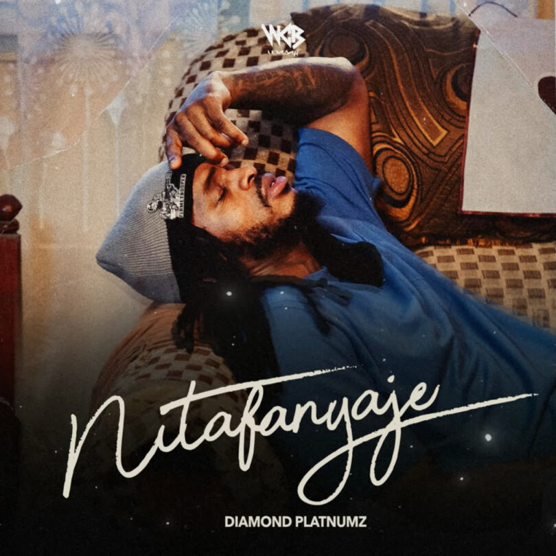 AUDIO: Diamond Platnumz - Ntafanyaje Mp3 Download