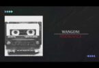 AUDIO: Wangoni - Msengwile Mp3 Download