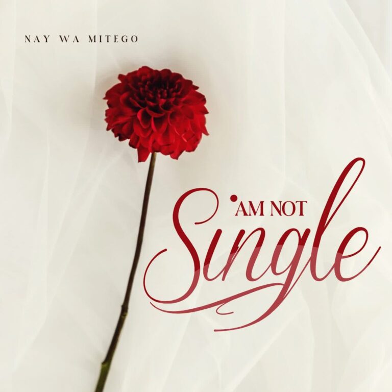AUDIO: Nay Wa Mitego - Am Not Single Mp3 Download