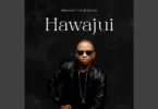 AUDIO: Mwana Fa Ft Lady Jaydee - Hawajui Mp3 Download