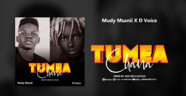 AUDIO: Mudy Msanii Ft D Voice - Tumeachana Mp3 Download