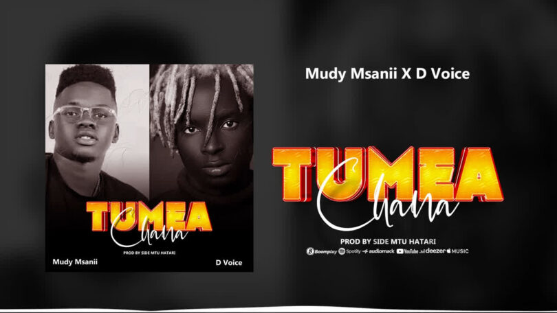 AUDIO: Mudy Msanii Ft D Voice - Tumeachana Mp3 Download