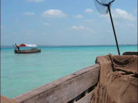 AUDIO: International Orchestra Safari Sound - Clara Mp3 Download