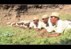 AUDIO: Kwaya Kuu Mt. Cesilia Arusha - Wosia Mp3 Download