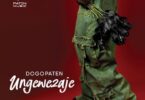 AUDIO: Dogo Paten - Ungewezaje Mp3 Download