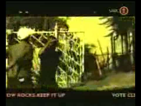 AUDIO: Zola 7 - Stars Mp3 Download