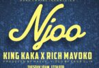 AUDIO: Rabbit King Kaka Ft Rich Mavoko - Njoo Mp3 Download