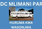 AUDIO: DDC Mlimani Park - Huruma Kwa Wagonjwa Mp3 Download