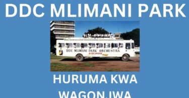 AUDIO: DDC Mlimani Park - Huruma Kwa Wagonjwa Mp3 Download