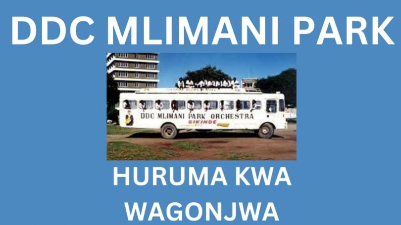 AUDIO: DDC Mlimani Park - Huruma Kwa Wagonjwa Mp3 Download