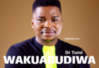 AUDIO: Dr Tumi - Wakuabudiwa Mp3 Download