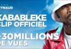AUDIO: Serge Beynaud - Kabableke Mp3 Download