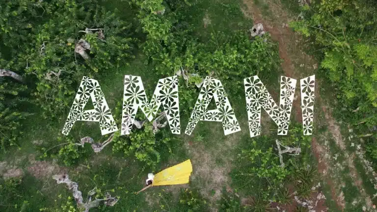 AUDIO: Zily - Amani Mp3 Download