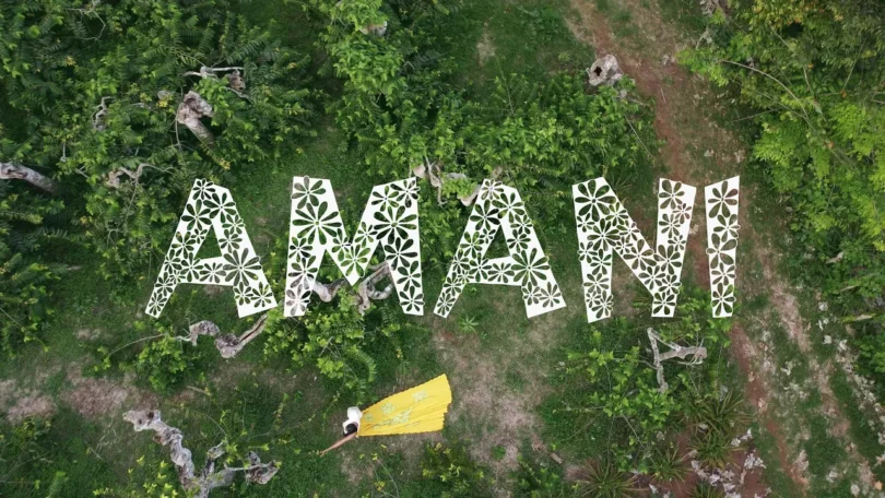 AUDIO: Zily - Amani Mp3 Download