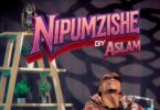 AUDIO: Aslam Tz - Nipumzishe Mp3 Download