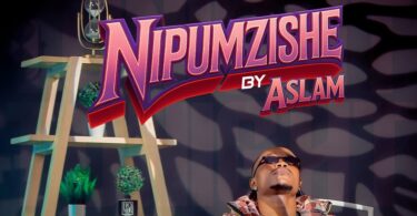 AUDIO: Aslam Tz - Nipumzishe Mp3 Download