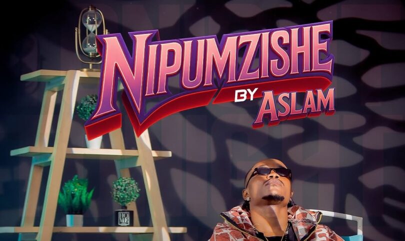 AUDIO: Aslam Tz - Nipumzishe Mp3 Download