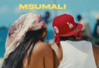 AUDIO: Diamond Platnumz - Msumari Mp3 Download