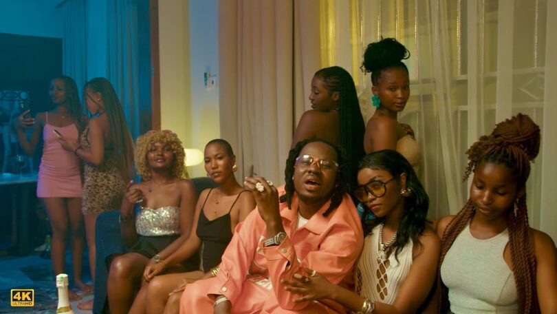 VIDEO: Lava Lava Ft Billnass X Dj Awakening - V.I.P Mp4 Download